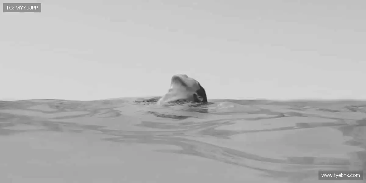 一键开启,随时随地看直播!📱